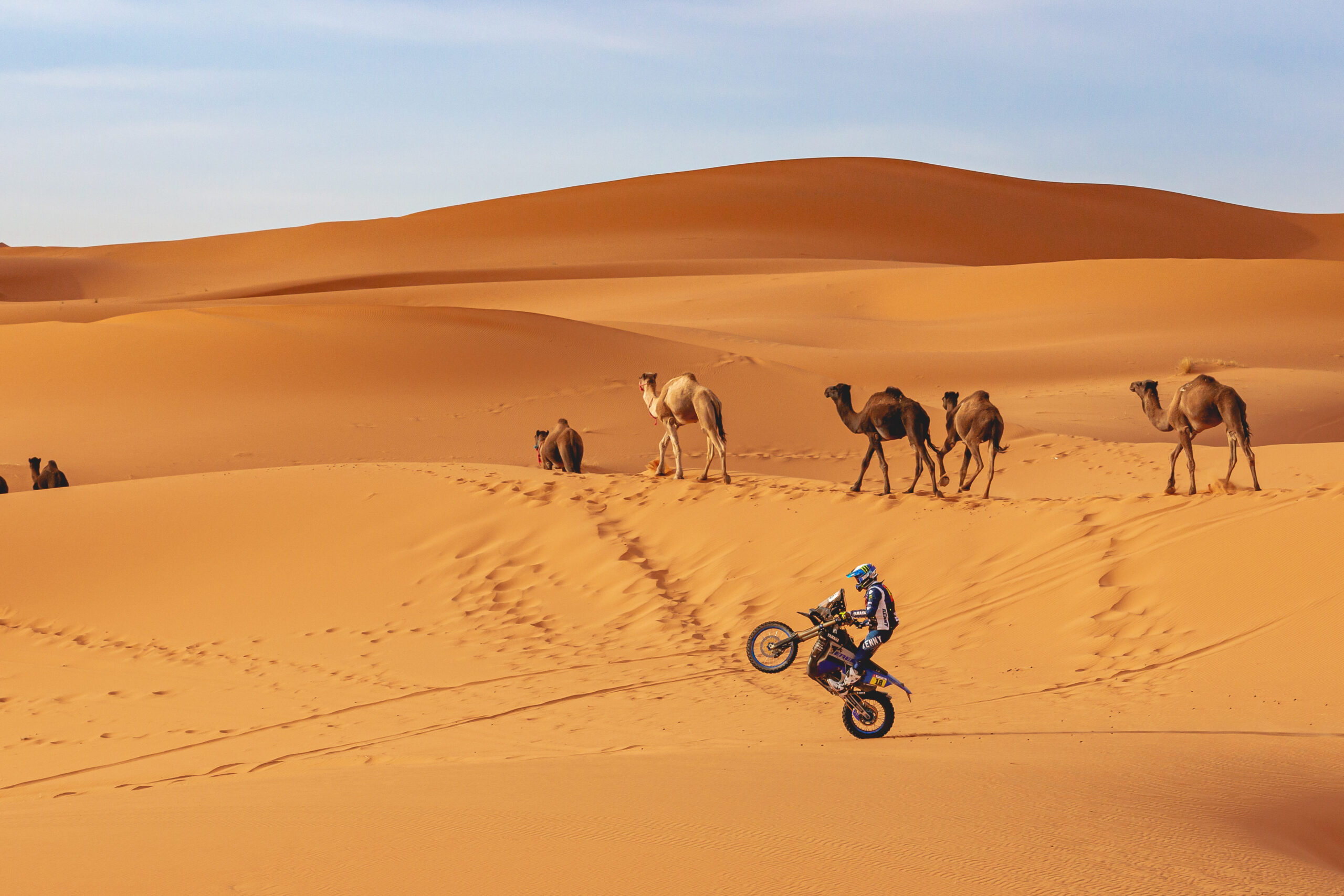 Désert de Merzouga, Maroc